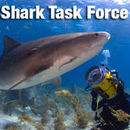 Shark Task Force Video Podcast by George Schellenger