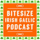 Bitesize Irish Gaelic Podcast by Eoin Conchuir