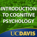 Introduction to Cognitive Psychology by Victoria Cross