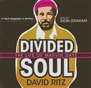 Divided Soul: The Life of Marvin Gaye by David Ritz