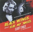 Black Wings Has My Angel by Elliott Chaze