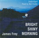 Bright Shiny Morning by James Frey