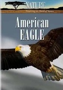 American Eagle