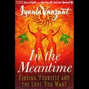 In The Meantime: Finding Yourself and the Love You Want by Iyanla Vanzant