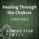 Healing Through the Chakras by Cyndi Dale