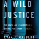 A Wild Justice by Evan J. Mandery