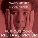 Furious Cool: Richard Pryor and The World That Made Him by David Henry