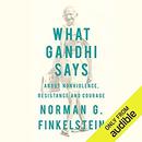 What Gandhi Says: About Nonviolence, Resistance and Courage by Norman Finkelstein
