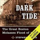 Dark Tide: The Great Boston Molasses Flood of 1919 by Stephen Puleo