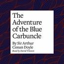 The Adventure of the Blue Carbuncle by Sir Arthur Conan Doyle