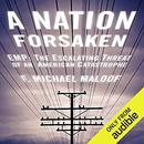 A Nation Forsaken: EMP by F. Michael Maloof