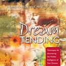 DreamTending by Stephen Aizenstat