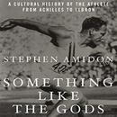 Something like the Gods by Stephen Amidon