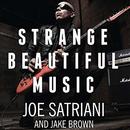 Strange Beautiful Music by Joe Satriani