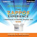 The Zappos Experience by Joseph Michelli
