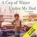 A Cup of Water Under My Bed by Daisy Hernandez