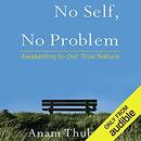 No Self, No Problem: Awakening to Our True Nature by Anam Thubten