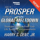 How to Prosper in the Global Meltdown by Harry S. Dent