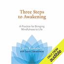 Three Steps to Awakening by Larry Rosenberg