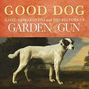 Good Dog: True Stories of Love, Loss, and Loyalty by David DiBenedetto