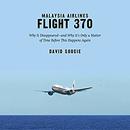 Malaysia Airlines Flight 370 by David Soucie