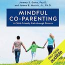 Mindful Co-Parenting by Jeremy S. Gaies