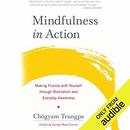 Mindfulness in Action by Chogyam Trungpa