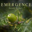 Emergence: Seven Steps for Radical Life Change by Derek Rydall