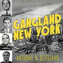 Gangland New York: The Places and Faces of Mob History by Anthony M. DeStefano