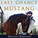 Last Chance Mustang by Mitchell Bornstein