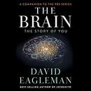 The Brain: The Story of You by David Eagleman