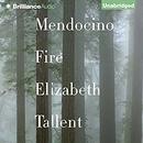 Mendocino Fire: Stories by Elizabeth Tallent