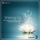 Waking Up: Volume 3 by Shinzen Young