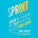 Sprint: How to Solve Big Problems and Test New Ideas in Just Five Days by Jake Knapp
