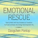 Emotional Rescue by Dzogchen Ponlop