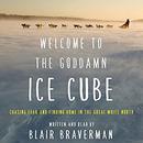 Welcome to the Goddamn Ice Cube by Blair Braverman