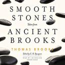 Smooth Stones Taken from Ancient Brooks by Thomas Brooks