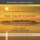 The Calm Center by Steve Taylor