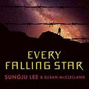 Every Falling Star by Sungju Lee