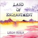 Land of Enchantment by Leigh Stein