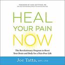 Heal Your Pain Now by Joe Tatta