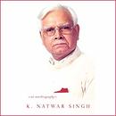 One Life Is Not Enough by K. Natwar Singh