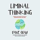 Liminal Thinking by Dave Gray