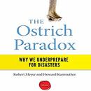 The Ostrich Paradox: Why We Underprepare for Disasters by Robert Meyer