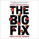 The Big Fix: Hope After Heroin by Tracey Helton Mitchell