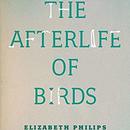 The Afterlife of Birds by Elizabeth Philips