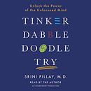 Tinker Dabble Doodle Try by Srini Pillay