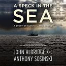 A Speck in the Sea: A Story of Survival and Rescue by John Aldridge