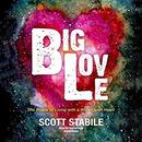 Big Love: The Power of Living with a Wide-Open Heart by Scott Stabile