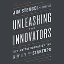 Unleashing the Innovators by Jim Stengel